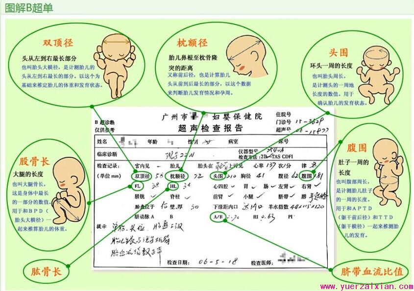 B超单